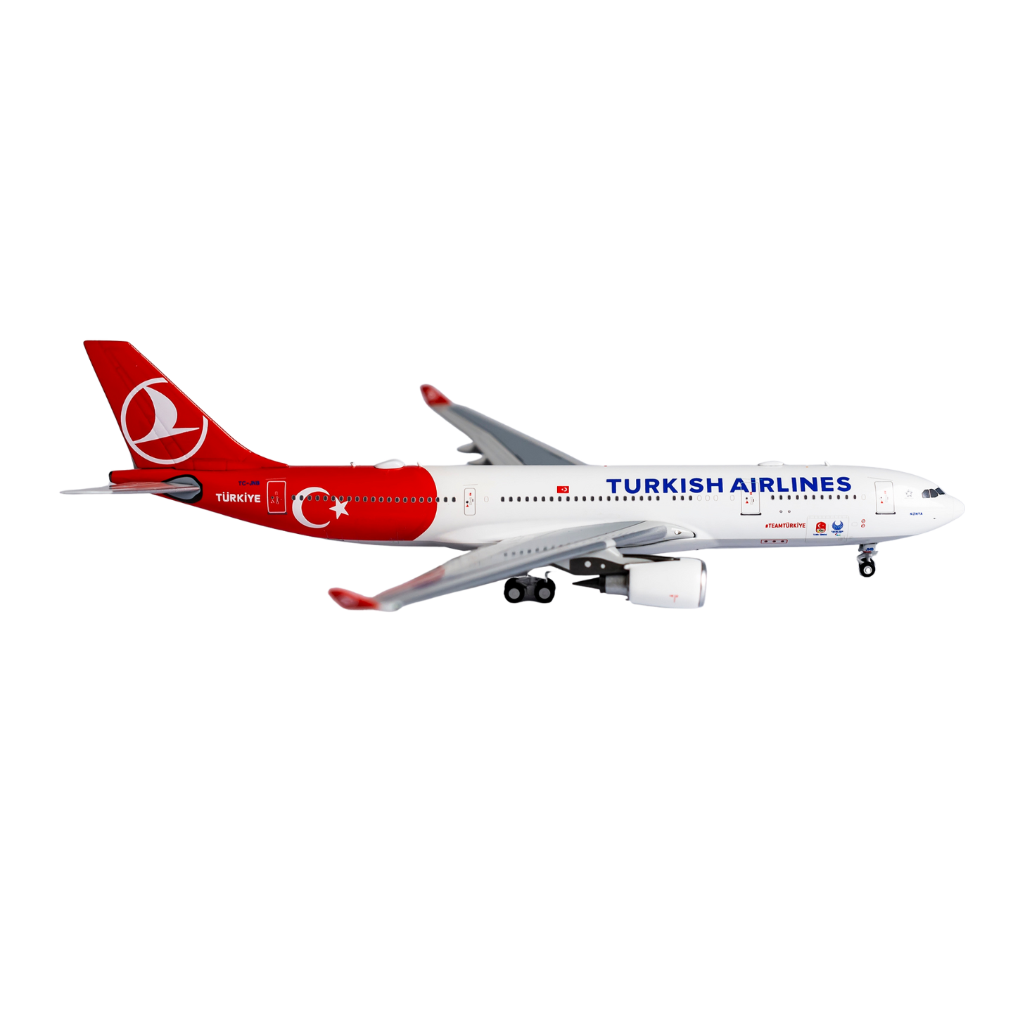 Turkish Airlines A330-200 TC-JNB