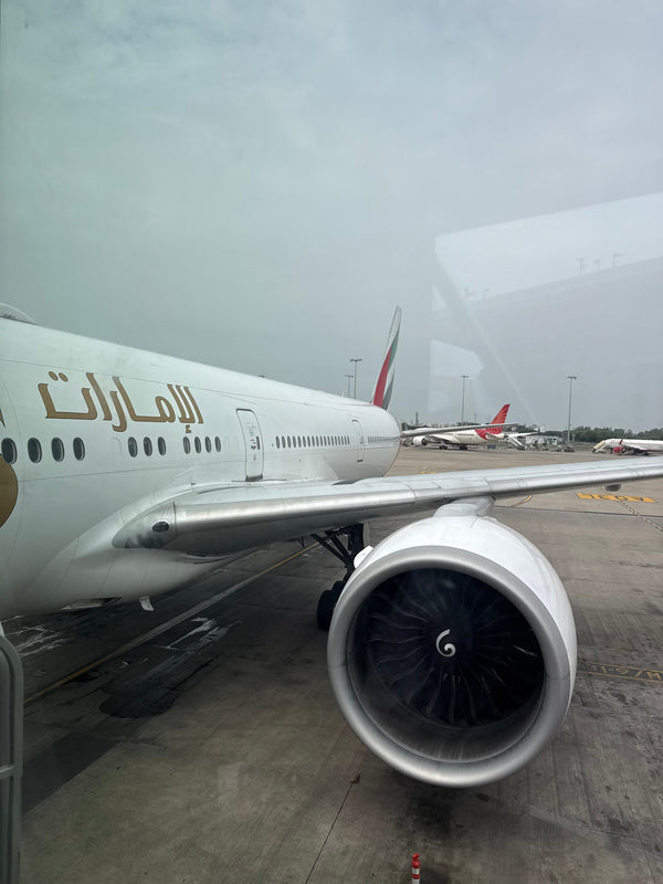 Notes from a Journey: EK 515, Delhi to Dubai