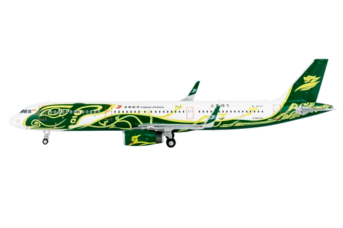 Capital Airlines A321-200/w B-8107 (Sanxidui Archaeological Sites