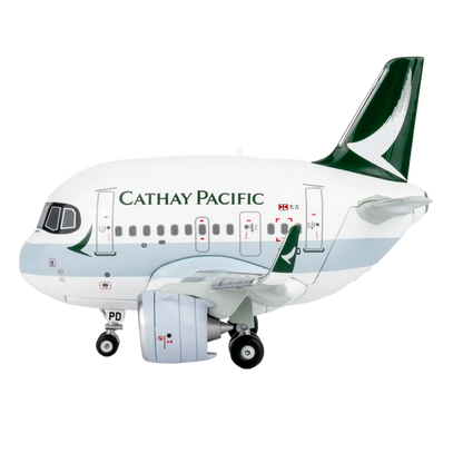 CATHAY PACIFIC  A321neo (Cartoon Version)